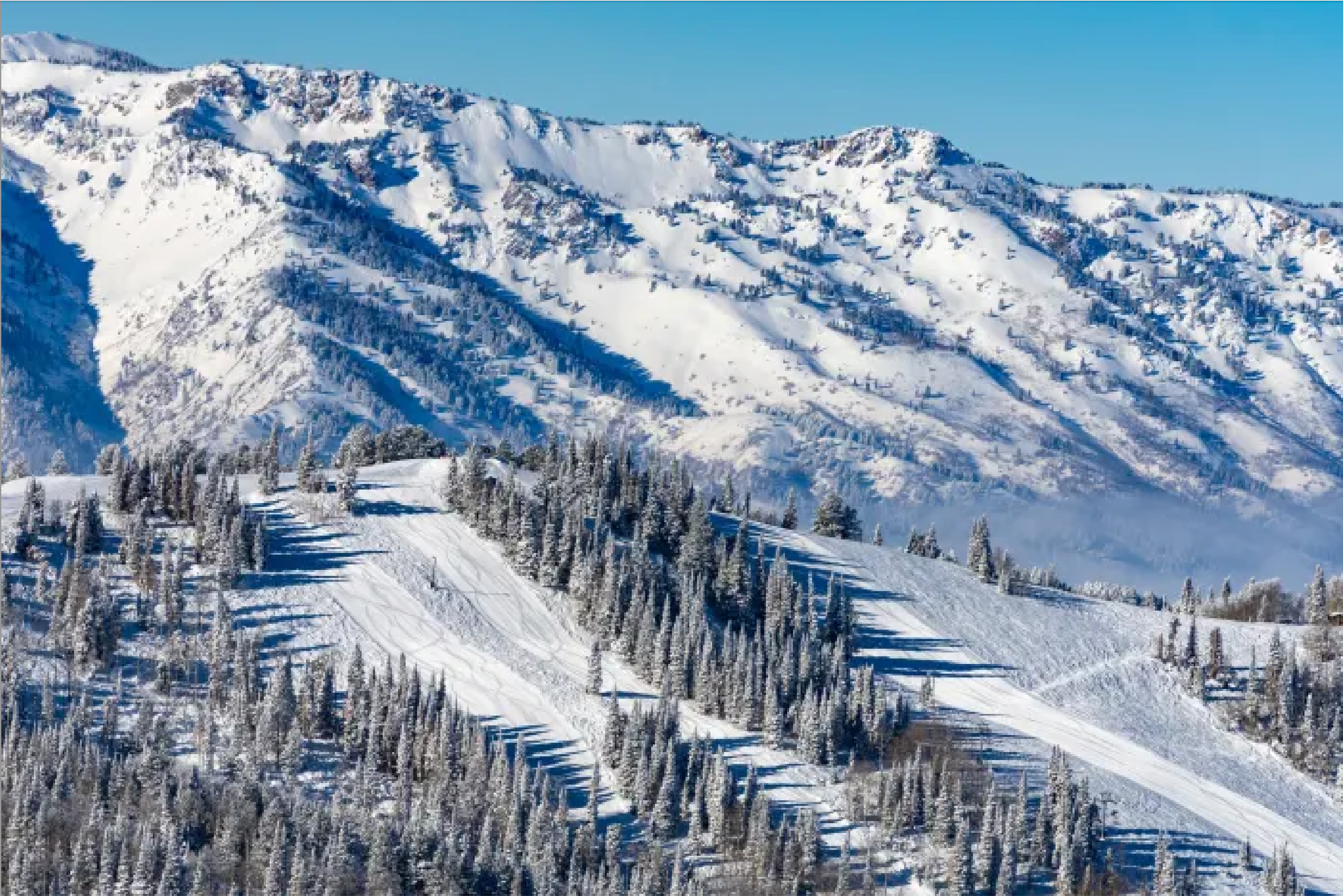 Powder Mountain, Utah: A future as big as the terrain? Ian Matteson photo.