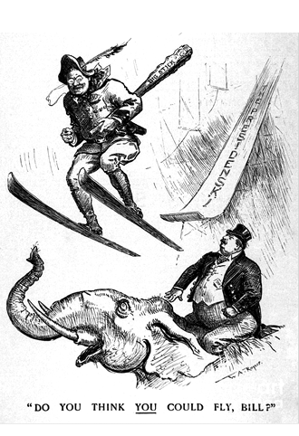 Teddy Roosevelt cartoon