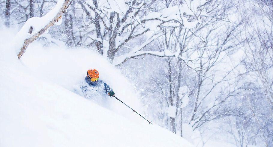Japow Hokkaido