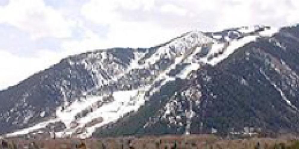 Feature Image