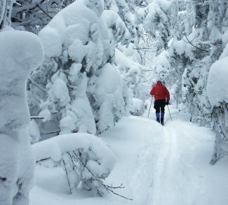 Powder touring on Roan Mountain